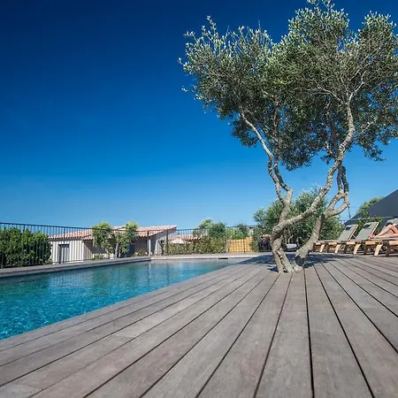 Madra * Bonifacio (Corsica)