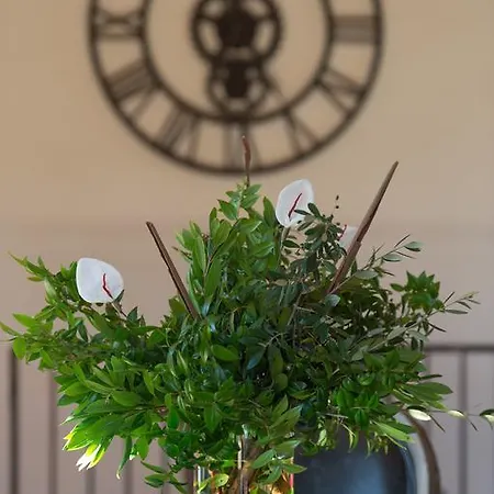 Villa Madra Bonifacio (Corsica)