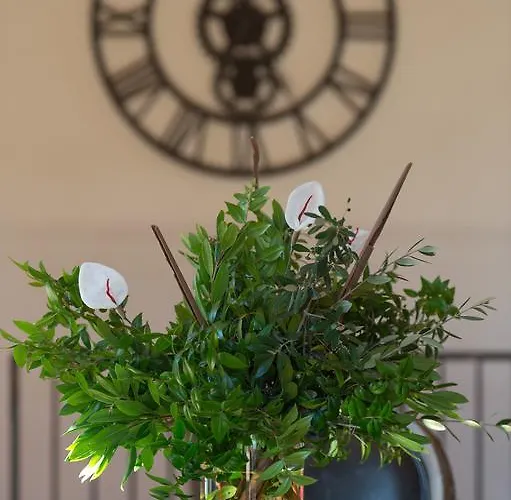 Villa Madra Bonifacio (Corsica)